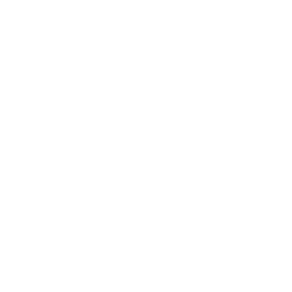 feature-item-4