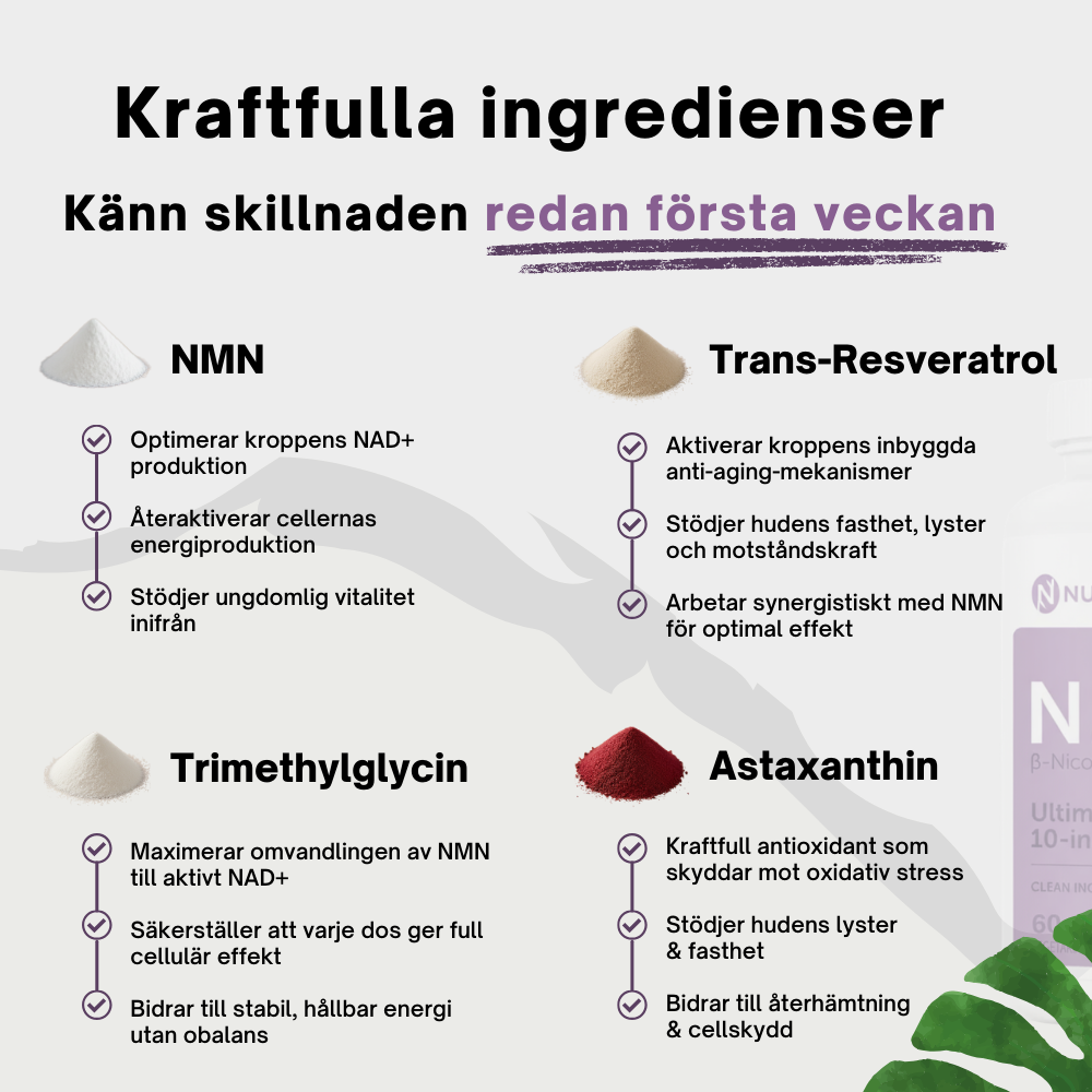 NMN 10-i-1 Anti-Aging Komplex (60 kapslar)