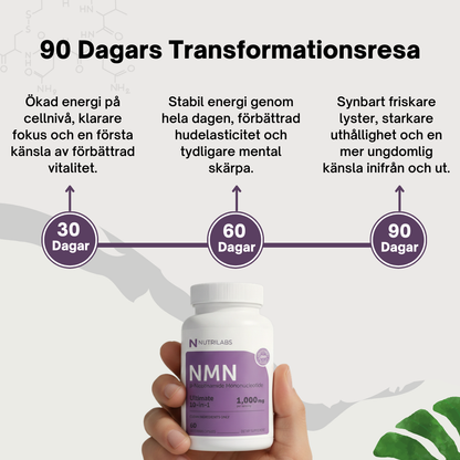 NMN 10-i-1 Anti-Aging Komplex (60 kapslar)