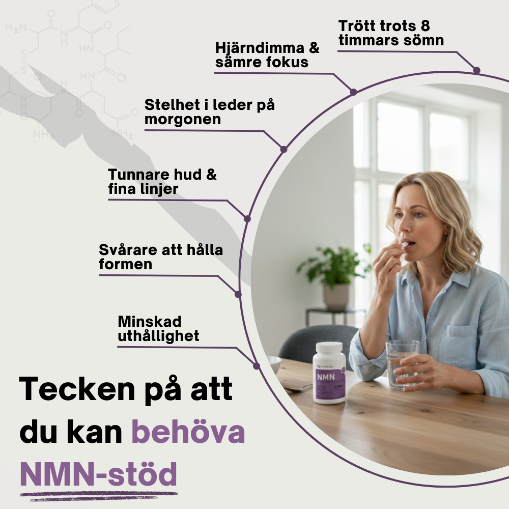 NMN 10-i-1 Anti-Aging Komplex (60 kapslar)